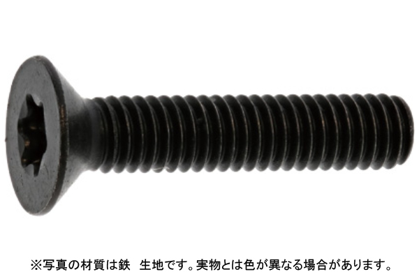 ＴＯＲＸ皿ＣＡＰ（日産ネジ製（新ＪＩＳ