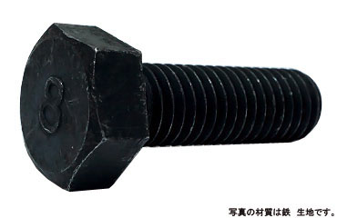 ８マークボルト（全（並目