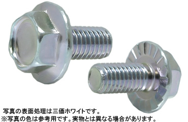 フランジボルト（２種（セレート付