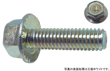 （４）フランジボルト（セレート付