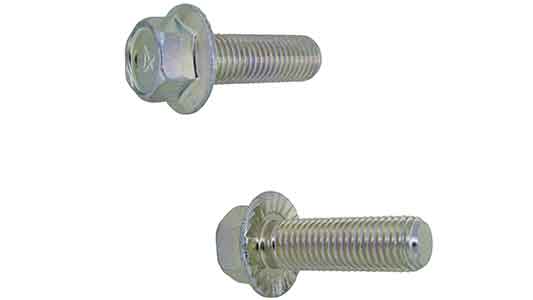 （４）フランジＢＴ（Ｓ付細目江浦