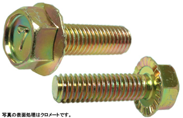 （７）フランジボルト（セレート付