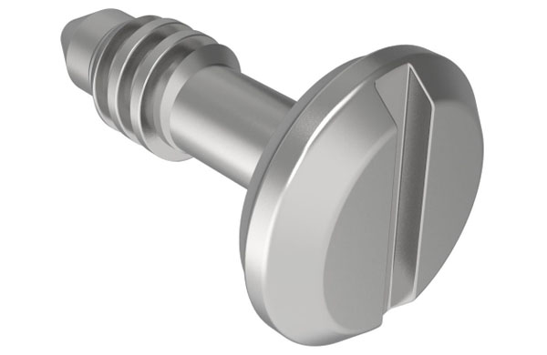 １２　ズース　スタッド