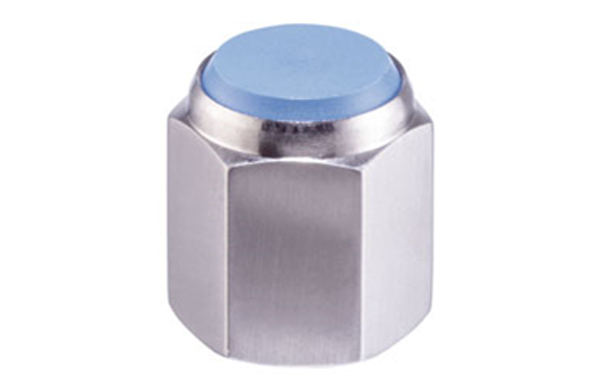 ２２６９１メネジ（プラインサート