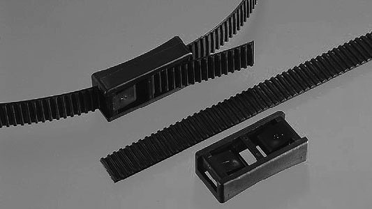 バックル（ＢＣ－１１