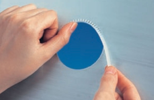 フリーブッシュ　ＳＧ