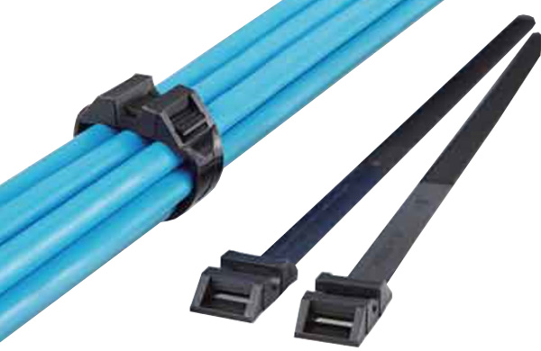 フラットヘッドタイ