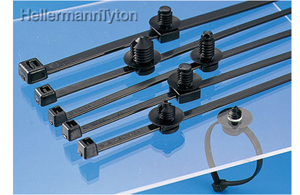 ファーツリＭ付タイＴＲＦＴＨＳＷ