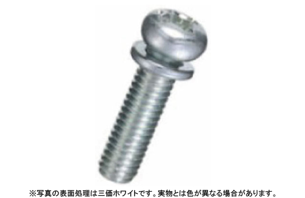 セットナベ小ネジＦーＳＥ（ＳＷ付