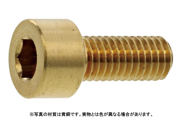 ＣＡＰ（ＭＣＭＡＳＴＥＲ