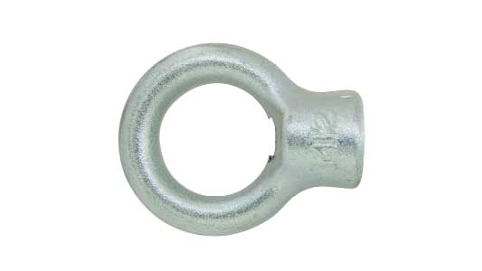 アイナット（その他ホソメ