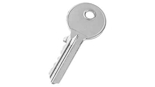 ウルトラデフキー（ブランキー