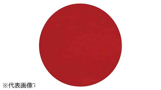 ＴＳディスク　７８７Ｃ　１２０＋