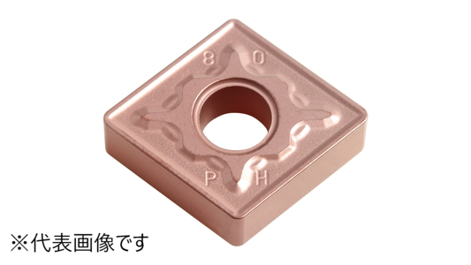 ＣＮＭＧ　ＰＨ：ＣＡ３１０