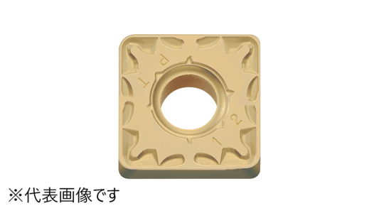 ＳＮＭＧ　ＰＴ：ＣＡ０２５Ｐ