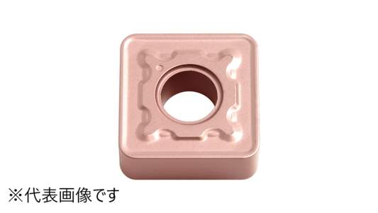 ＳＮＭＧ　ＰＨ：ＣＡ３１０