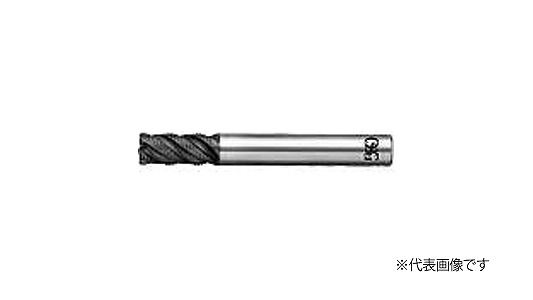 ＳＩ－ＷＣ－ＲＥＳＦ（強ねじれ）