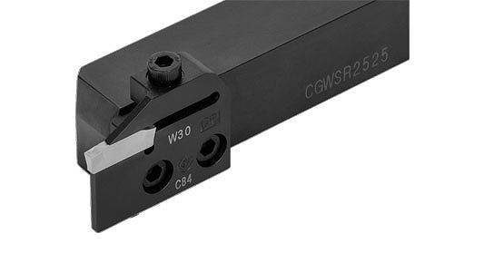 ＣＧＷＳＲ－ＷＧ