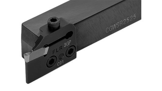 ＣＧＷＳＲ－ＦＬＲ－ＧＰ