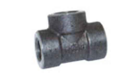 ＮＰＴ　チーズ　ＳＣＨ８０