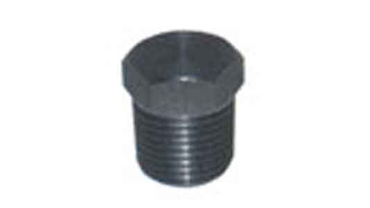 ＮＰＴ　六角プラグ　ＳＣＨ８０