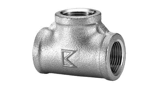 チーズ（ＰＴ（ＫＩＴＺ