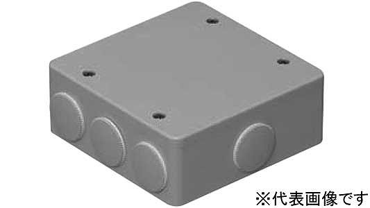 ＰＶＫーＢＬＮＰ