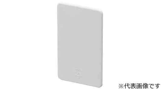 ＭＳＢーＦ１ＦＬＳ