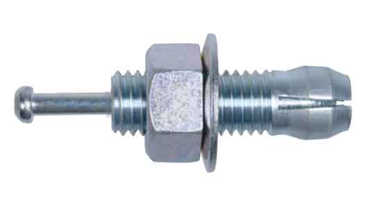 ＪＰＦ　ブルームスタッド