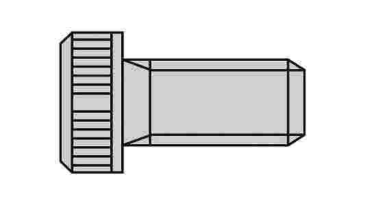 ＣＷＸＴ固定専用低頭ボルトＬＨＳ