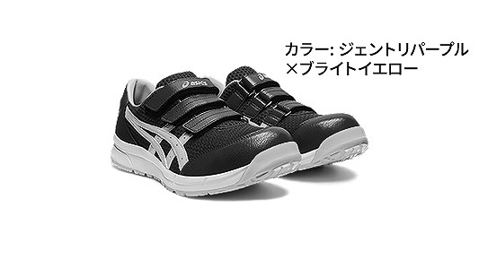 ＣＰ２０２（５０１）