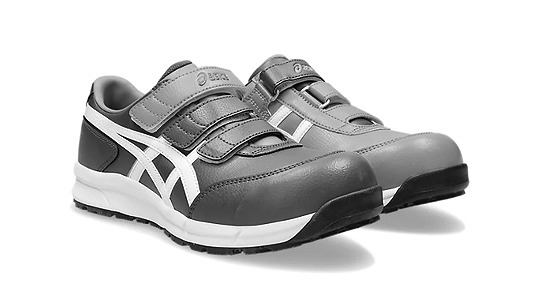 ＣＰ３０１（５００（限定色