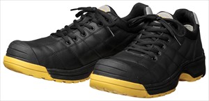 ＤＹＮＡＳＴＹ　ＤＹＰＲ－２２