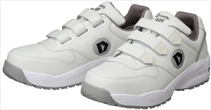 ＤＹＮＡＳＴＹ　Ｗ０＋１１　Ｍ