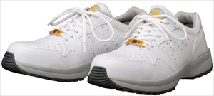 ＤＹＮＡＳＴＹ　ＳＤ－１１