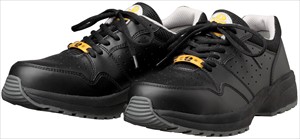 ＤＹＮＡＳＴＹ　ＳＤ－２２