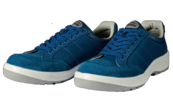 ＤＹＮＡＳＴＹ　Ｄ－１００２Ｎ