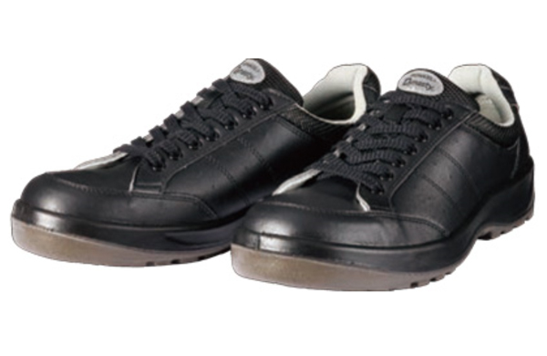 ＤＹＮＡＳＴＹ　Ｄ－１００５Ｎ