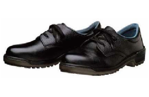 ＤＹＮＡＳＴＹ　Ｄ－５００１Ｎ