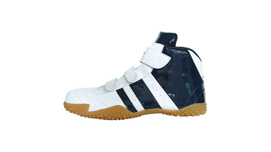 サンダンス　ＧＴ－Ｘ（白＆紺