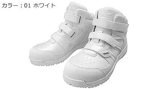 Ｆ１ＧＡ１９０２０１