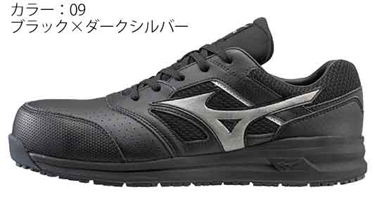 Ｆ１ＧＡ２１０００９