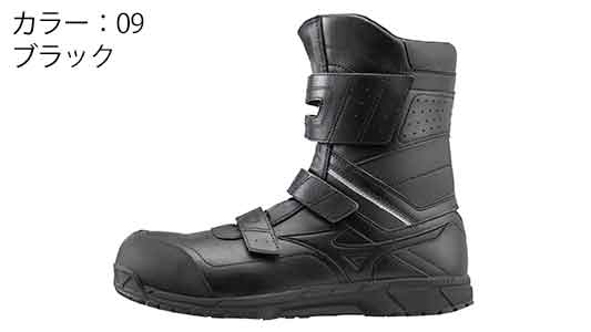 Ｆ１ＧＡ２１０２０９