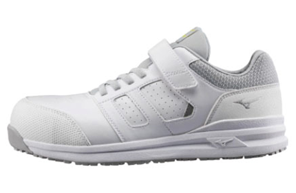 Ｆ１ＧＡ２２０１０１