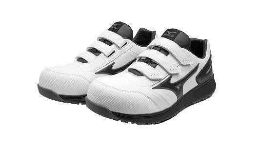 Ｆ１ＧＡ２３１１０１