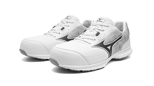 Ｆ１ＧＡ２５０２０４