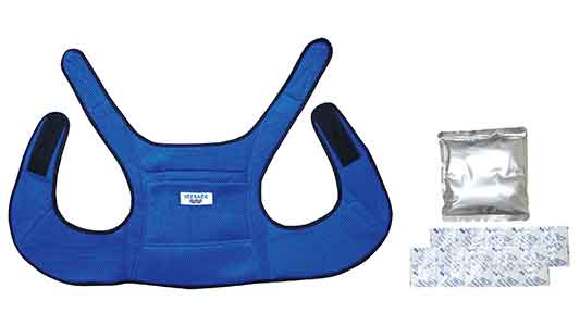 アイスバックダブル（ブルー