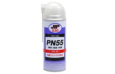 ＰＮ５５