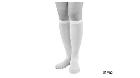 ディスポソックス２