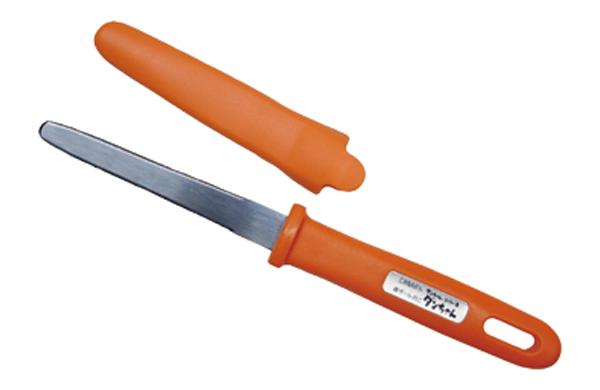 段ボールのこダンちゃんキャップ付